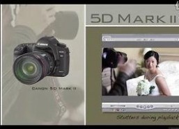 91pro国产,引领科技潮流的创新力量