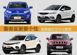 精品国产自,探索我国自主创新的辉煌成就