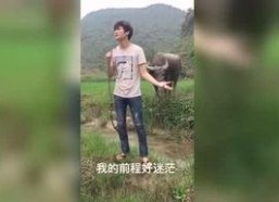 午夜福利视频国产,揭秘国产影视作品的魅力与影响力