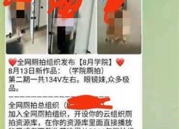 国产厕所偷拍视频,隐私边界何在？