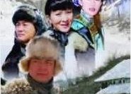 国产二十页,深度解析中国电影产业新篇章