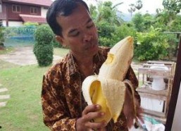 大香蕉国产成人,揭秘国内成人影视产业的崛起与挑战