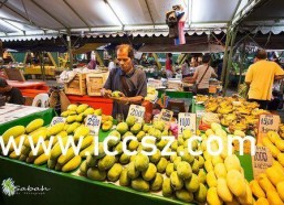 国产精品香蕉在线,甜蜜滋味，健康之选